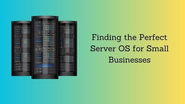 How to Choose the Best Server OS for Small Businesses